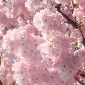 Meet your Posher, Yeimi